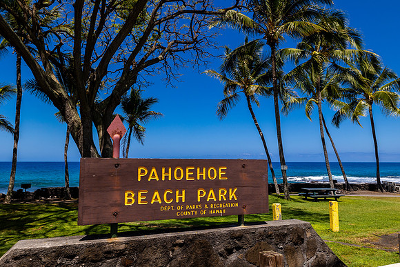 8V1A6538