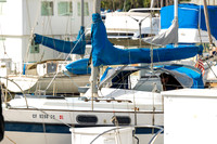 8V1A1133